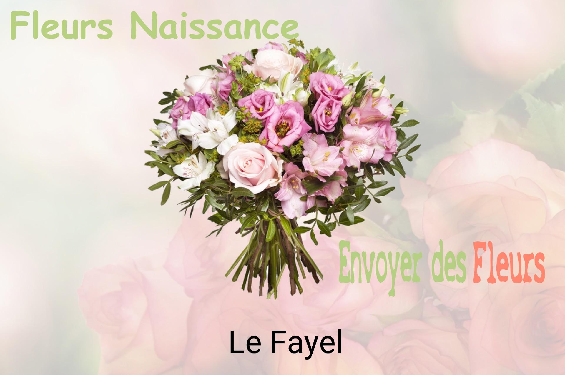 Bouquet de fleurs de naissance livré à Le Fayel