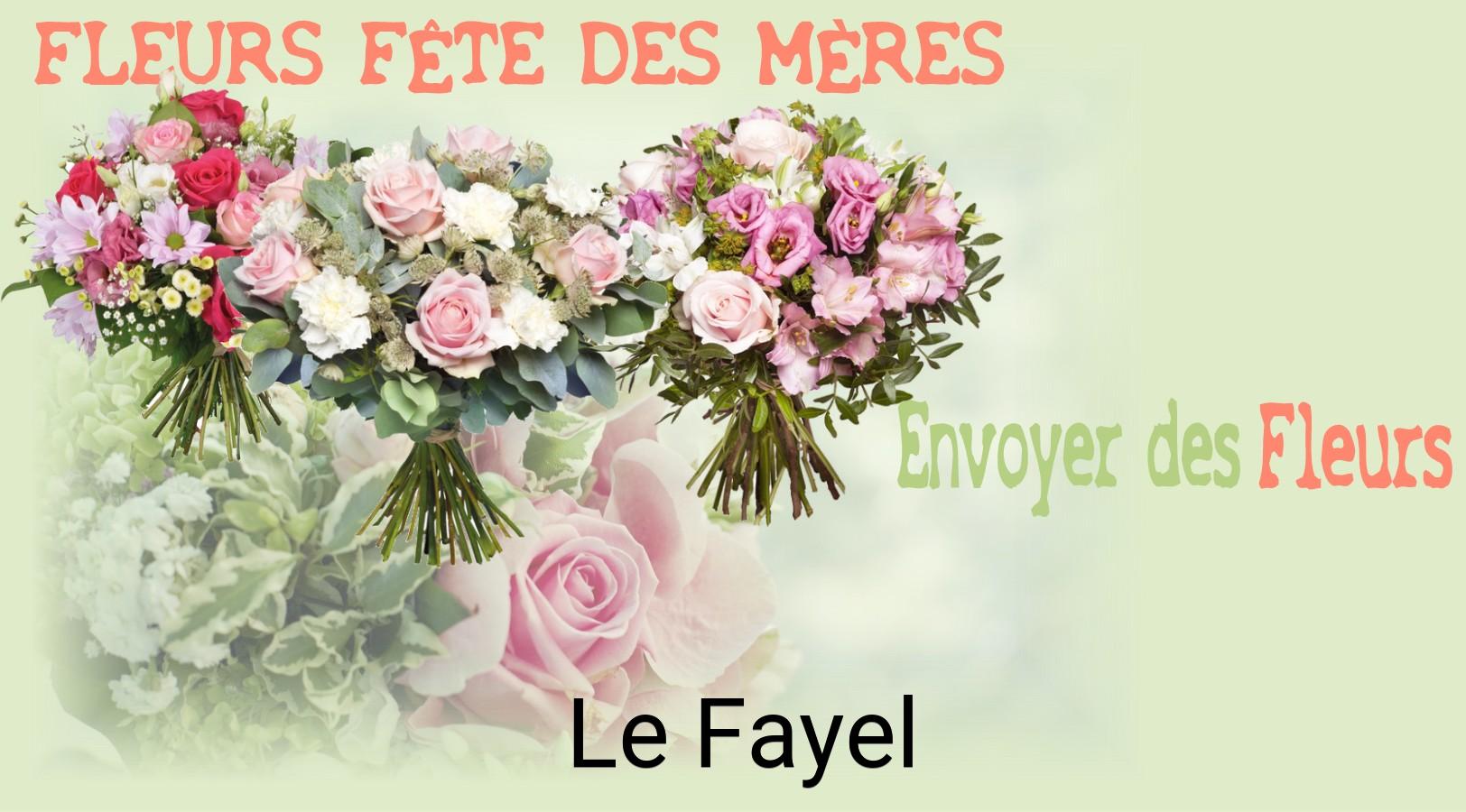 Bouquet de Fête des Mères livré à Le Fayel